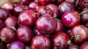 Fresh Red Onions