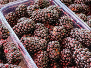 Fresh Blackberries x1