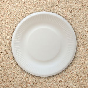 18cm - 7" Degradeable Plate