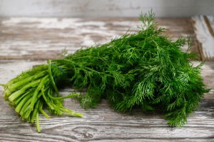 Fresh Herb - Dill