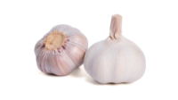 Garlic Bulb