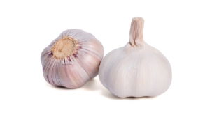 Garlic Bulb