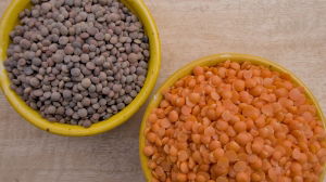 Puy Type Lentils