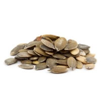 Pumpkin Seeds