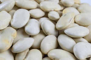 Dried Butter Beans