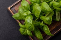 Fresh Herb - Basil