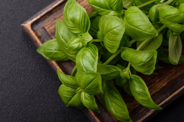 Fresh Herb - Basil