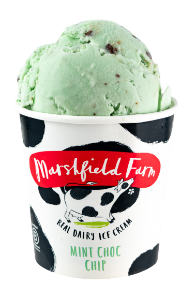 Marshfield Pots - Mint Choc Chip