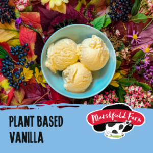 Marshfield Plant Based Vanilla Ice Cream