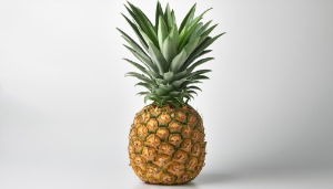 Fresh Pineapple