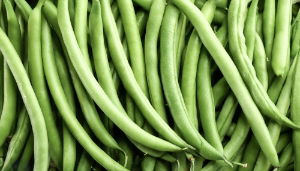 Fresh Fine Green Beans