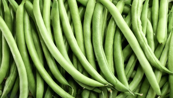 Fresh Fine Green Beans