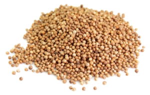 Coriander Seeds