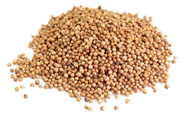 Coriander Seeds