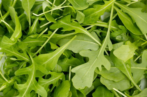Fresh Rocket