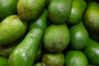 Fresh Avocado