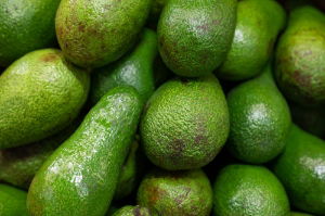 Fresh Avocado