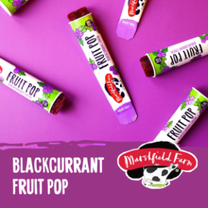 Marshfield Icepop - Blackcurrant