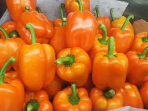 Fresh Peppers x1 - Orange